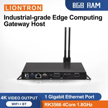 Liontron Rockchip RK3566 Medya Oynatıcı Mini PC Hexa Çekirdekli Gigabit Wifi BT Endüstriyel Bilgisayar Reklam Makinesi için